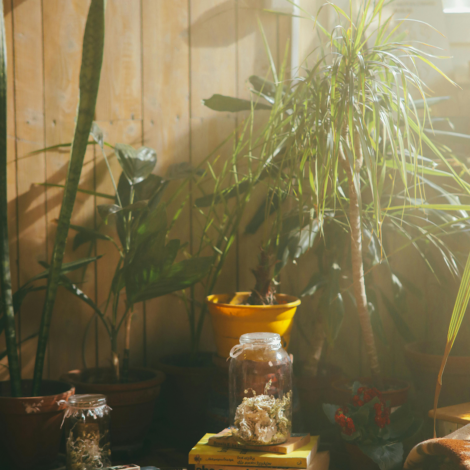 ENTRELAÇAR MUNDOS_ Uma questão do século XXI