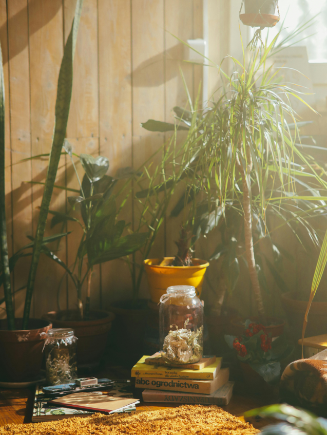 ENTRELAÇAR MUNDOS_ Uma questão do século XXI